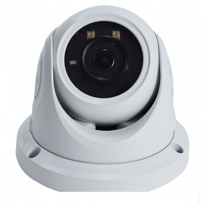 2.1 МП AHD/CVI/TVI/CVBS уличная купольная видеокамера DigiGuard DG-2424P (2.8-12 мм)